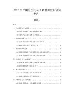 2026年中国管型母线T接金具数据监测报告
