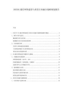 20255G通信网络建设与垂直行业融合战略规划报告