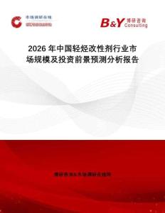 2026年中国轻烃改性剂行业市场规模及投资前景预测分析报告