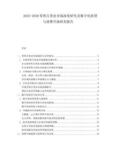 2025-2030零售百货业市场深度研究及数字化转型与消费升级研究报告