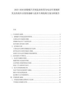 2025-2030密歇根汽车制造业转型为电动车领域研究及传统车企投资战略与技术专利收购方案分析报告