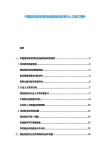 中国漂洗添加剂职业技能培训体系与人才缺口填补