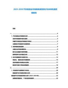 2025-2030汽车制造业市场格局演变探讨与未来机遇挖掘报告