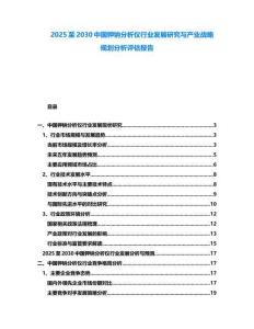 2025至2030中国钾钠分析仪行业发展研究与产业战略规划分析评估报告