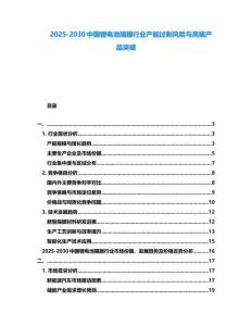 2025-2030中国锂电池隔膜行业产能过剩风险与高端产品突破