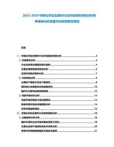 2025-2030华南化学反应原料行业市场现有供需分析竞争格局分析发展评估投资报告规划
