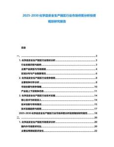 2025-2030化学品安全生产园区行业市场供需分析投资规划研究报告