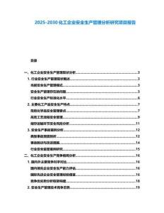 2025-2030化工企业安全生产管理分析研究项目报告