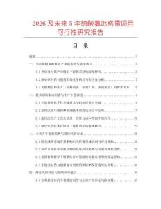 2026及未来5年硫酸氯吡格雷项目可行性研究报告