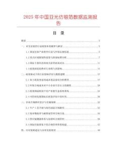 2025年中国亚光仿银箔数据监测报告