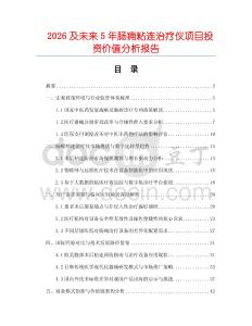 2026及未来5年肠痈粘连治疗仪项目投资价值分析报告