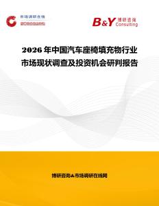 2026年中国汽车座椅填充物行业市场现状调查及投资机会研判报告