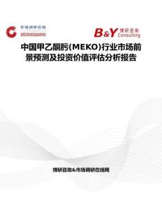 中国甲乙酮肟(MEKO)行业市场前景预测及投资价值评估分析报告