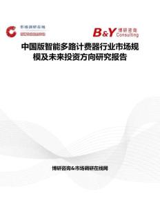 中国版智能多路计费器行业市场规模及未来投资方向研究报告