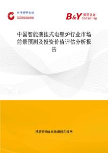 中国智能壁挂式电壁炉行业市场前景预测及投资价值评估分析报告