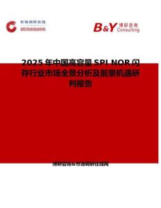 2025年中国高容量SPI NOR闪存行业市场全景分析及前景机遇研判报告