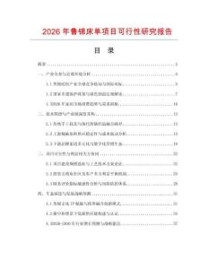2026年鲁锦床单项目可行性研究报告