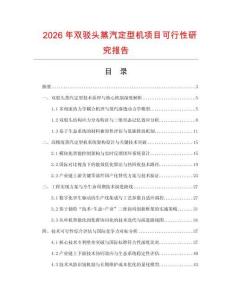 2026年双驳头蒸汽定型机项目可行性研究报告