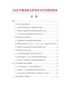 2026年燃油热水炉项目可行性研究报告