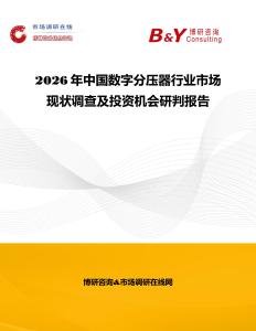 2026年中国数字分压器行业市场现状调查及投资机会研判报告