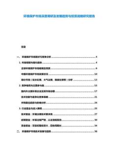环境保护市场深度调研及发展趋势与投资战略研究报告