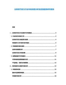 比利时巧克力行业市场深度分析及投资趋势研究报告