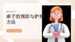 痱子的预防与护理方法