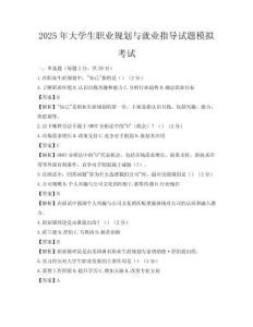 2025年大学生职业规划与就业指导试题模拟考试