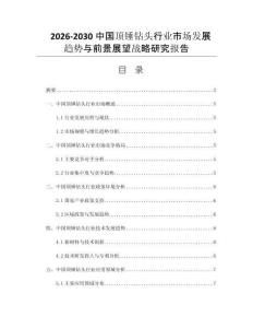 2026-2030中国顶锤钻头行业市场发展趋势与前景展望战略研究报告