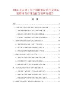 2026及未来5年中国轮船缸套用金刚石珩磨油石市场数据分析研究报告