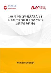 2025年中国自动变焦 调光电子闪光灯行业市场前景预测及投资价值评估分析报告