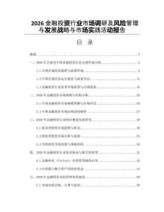 2026金融投资行业市场调研及风险管理与发展战略与市场实践活动报告