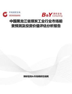 中国黑龙江省煤炭工业行业市场前景预测及投资价值评估分析报告