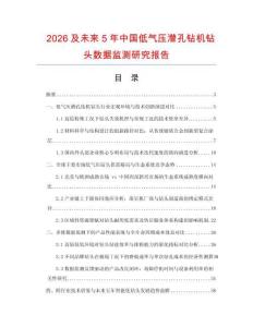 2026及未来5年中国低气压潜孔钻机钻头数据监测研究报告.docx