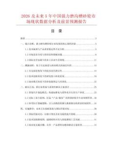 2026及未来5年中国强力磨沟槽砂轮市场现状数据分析及前景预测报告.docx