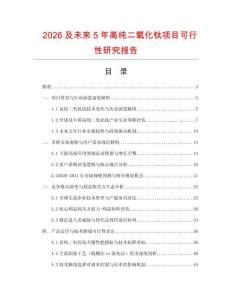 2026及未来5年高纯二氧化钛项目可行性研究报告.docx
