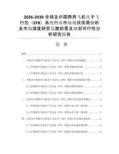 2026-2030全球及中国商用飞机电子飞行包（EFB）系统行业市场现状供需分析及市场深度研究发展前景及规划可行性分析研究报告