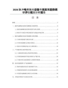2026脉冲电解抛光设备市场发展趋势调研评估规划分析报告