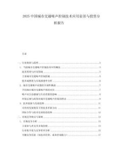 2025中国城市交通噪声控制技术应用前景与投资分析报告.docx