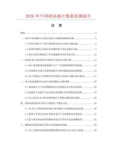 2026年中国硝基漆片数据监测报告.docx
