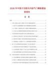 2026年中国大芯腔无内胎气门嘴数据监测报告.docx