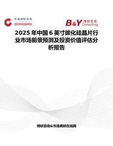2025年中国6英寸碳化硅晶片行业市场前景预测及投资价值评估分析报告