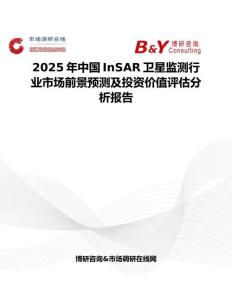 2025年中国InSAR卫星监测行业市场前景预测及投资价值评估分析报告