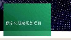 数字化战略规划项目