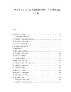 2025中国盐化工企业文化建设实践与员工凝聚力提升方案.docx