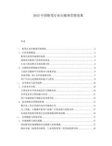 2025中国粉笔行业自媒体营销效果.docx