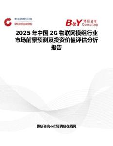 2025年中国2G物联网模组行业市场前景预测及投资价值评估分析报告