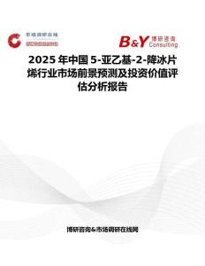 2025年中国5-亚乙基-2-降冰片烯行业市场前景预测及投资价值评估分析报告
