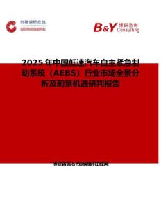 2025年中国低速汽车自主紧急制动系统（AEBS）行业市场全景分析及前景机遇研判报告