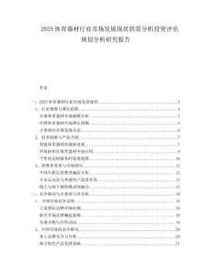 2025体育器材行业市场发展现状供需分析投资评估规划分析研究报告.docx